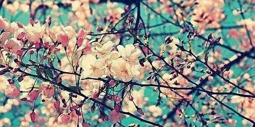 danirrey0610's profile banner image