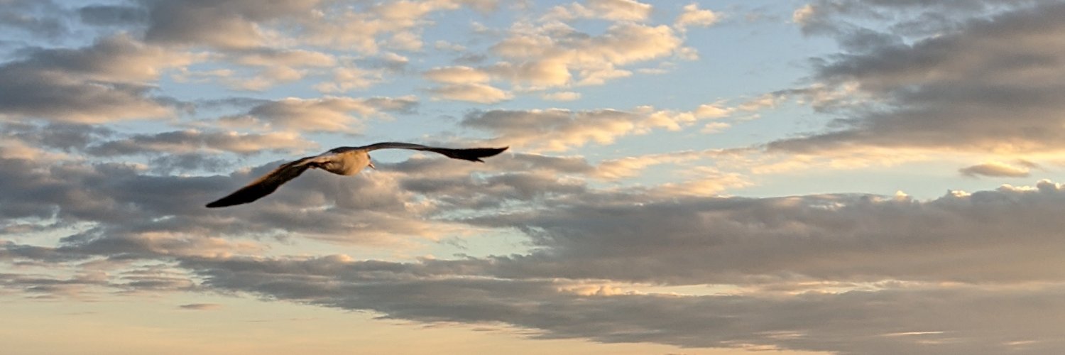 Ryan banner