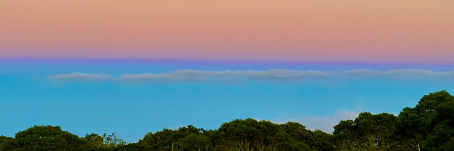 honeyymelo's profile banner image