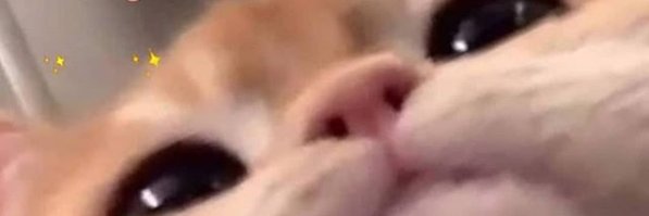 meecharut's profile banner image