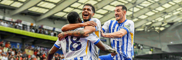 SeagullsCentral Profile Banner