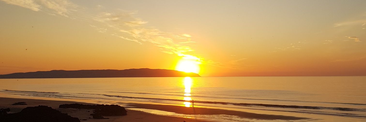 Patricia Lowe banner