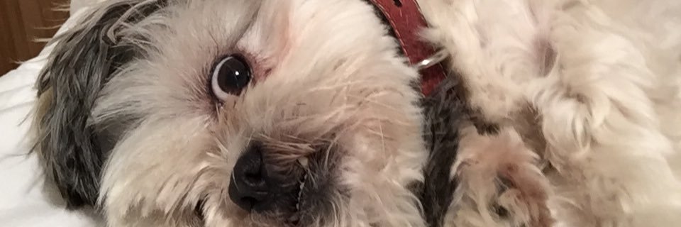 CourtneyRT's profile banner image