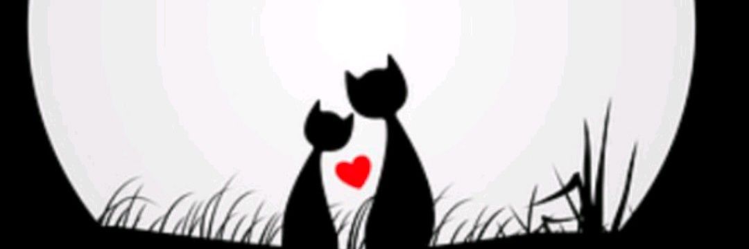GISECERRO's profile banner image
