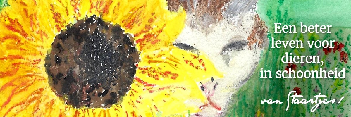 vanStaartjes's profile banner image