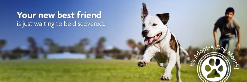 🐾Vetericyn🐾 banner