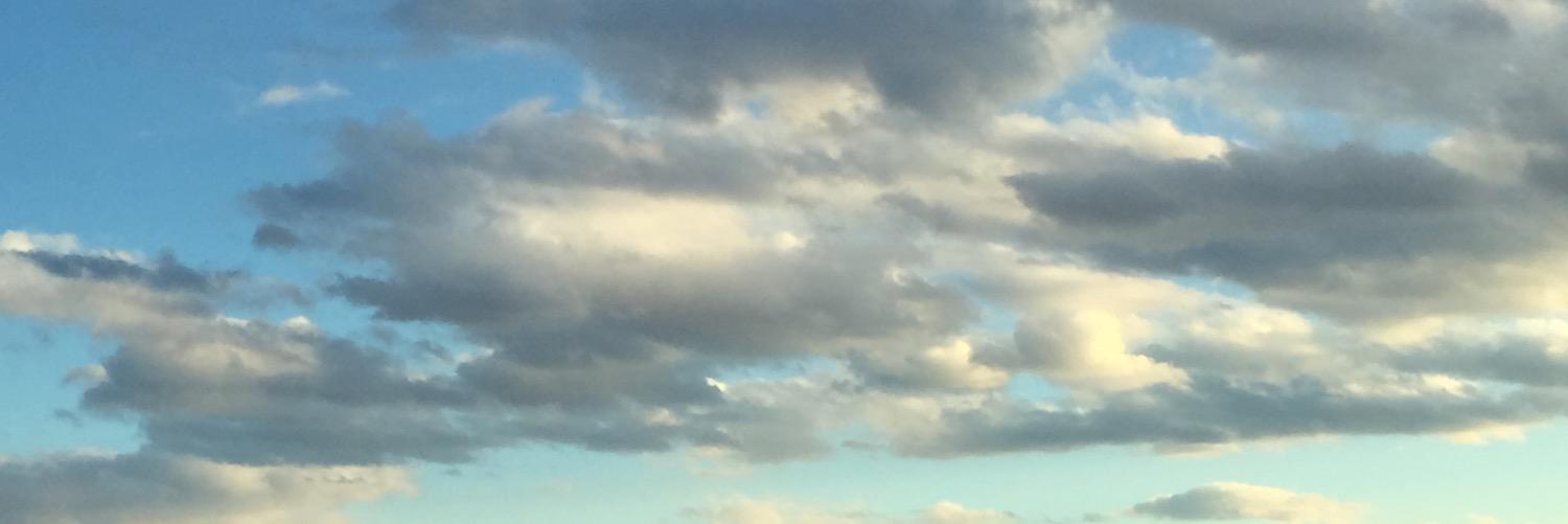 ButlerLavi's profile banner image
