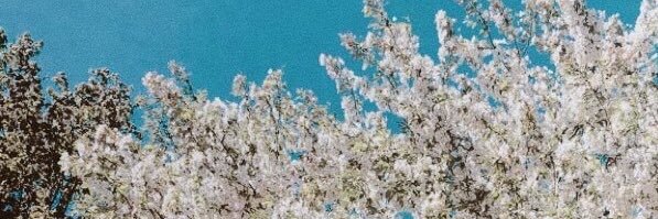 Bwhaley_40's profile banner image