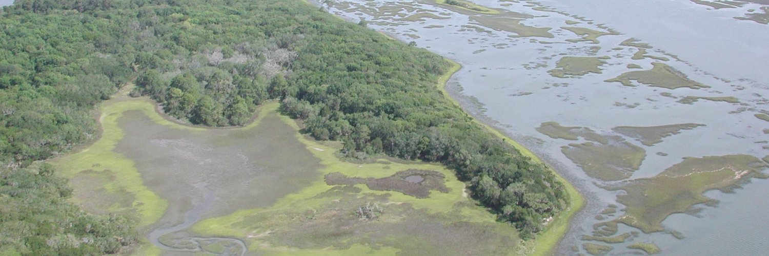 GTM Research Reserve banner