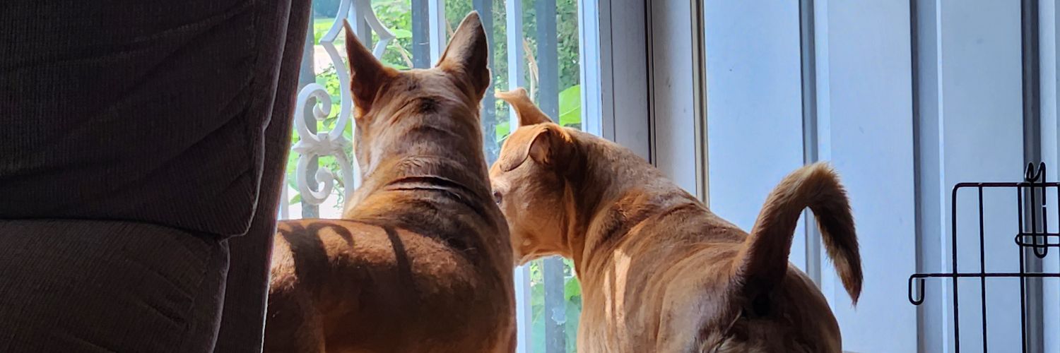 TheTimBass's profile banner image