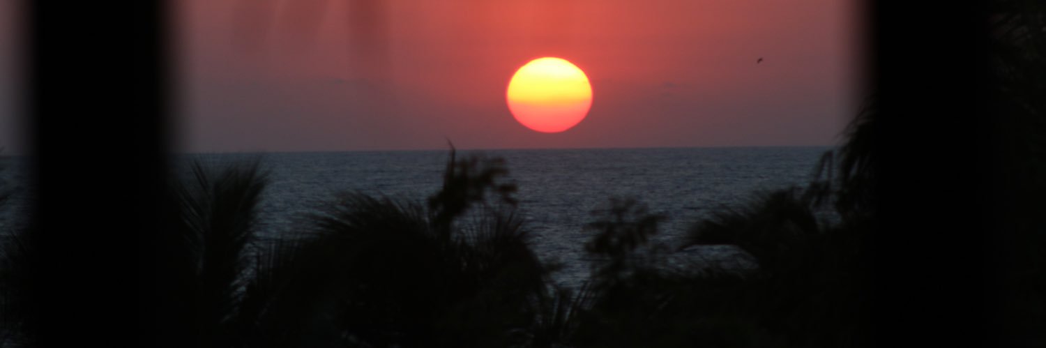 written_mp's profile banner image