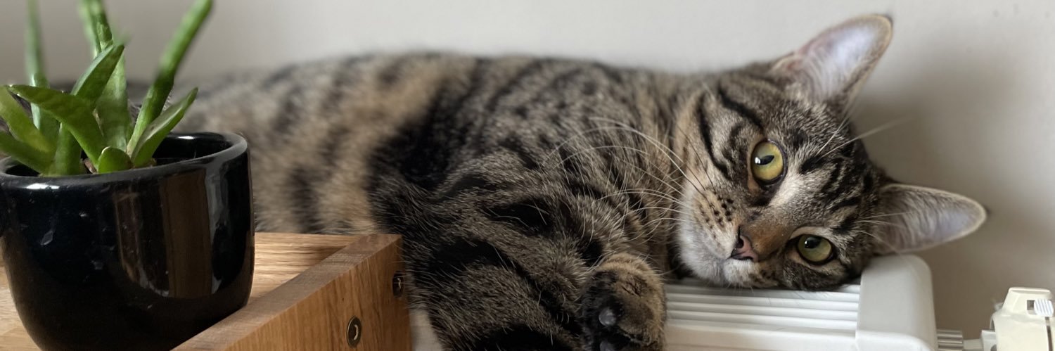 mallaauA's profile banner image