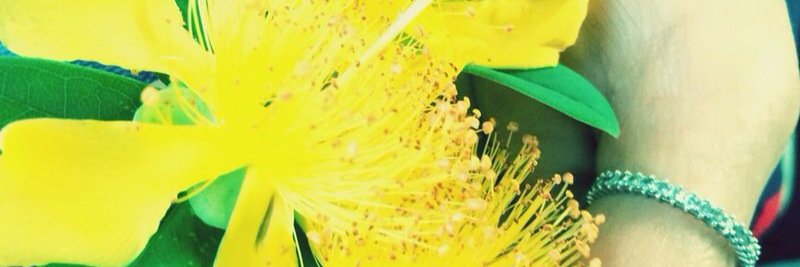 Satisema's profile banner image