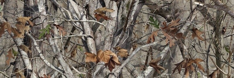 BreaMillerPhoto's profile banner image