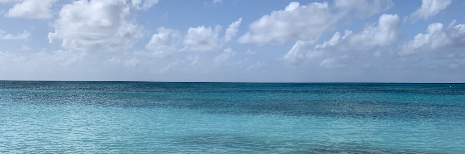 wilmes31's profile banner image