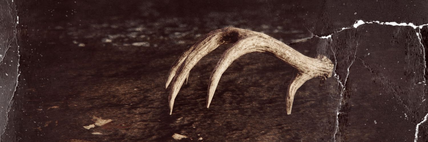 RarestCryptid's profile banner image