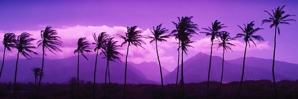 MarkY54321's profile banner image