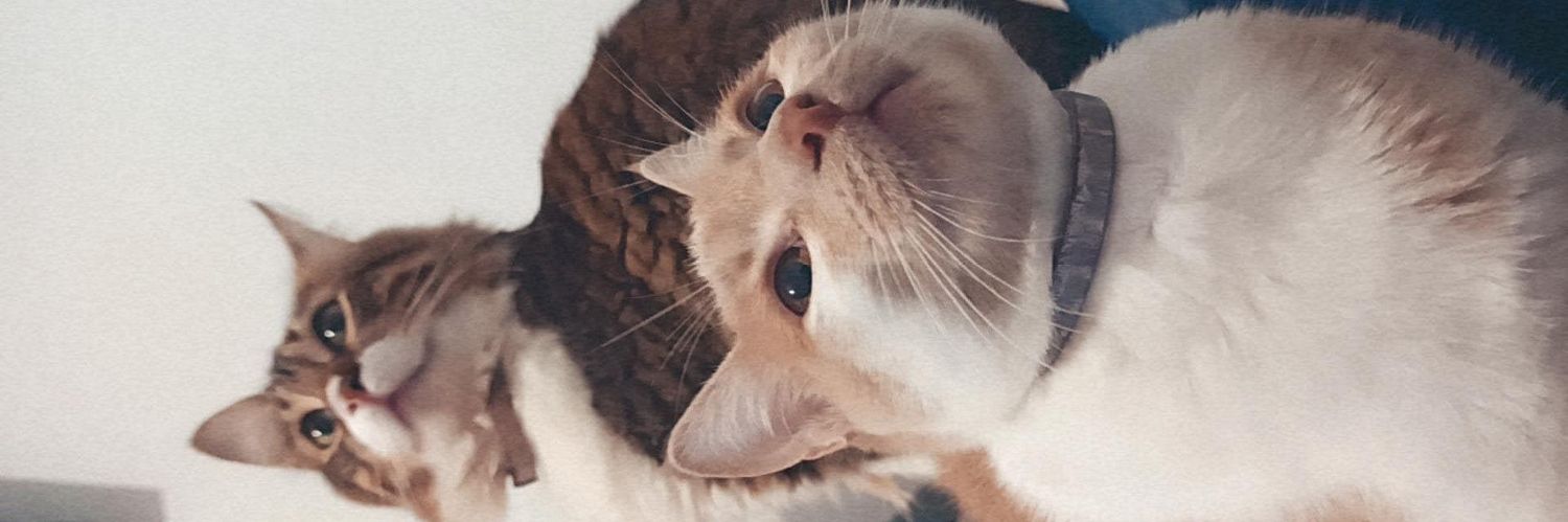 IsaPe_22's profile banner image