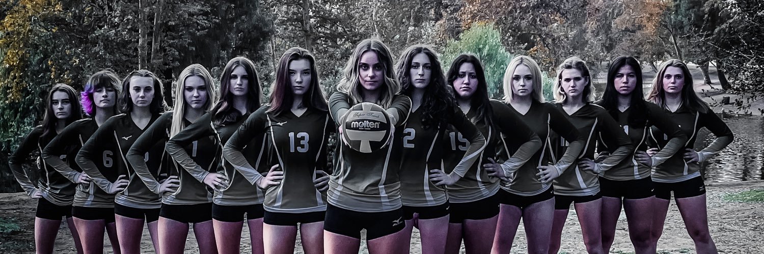 Royal HS Volleyball banner