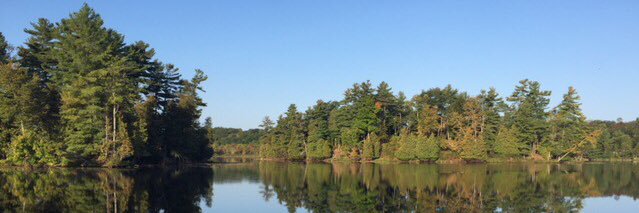 ruttantrustee banner