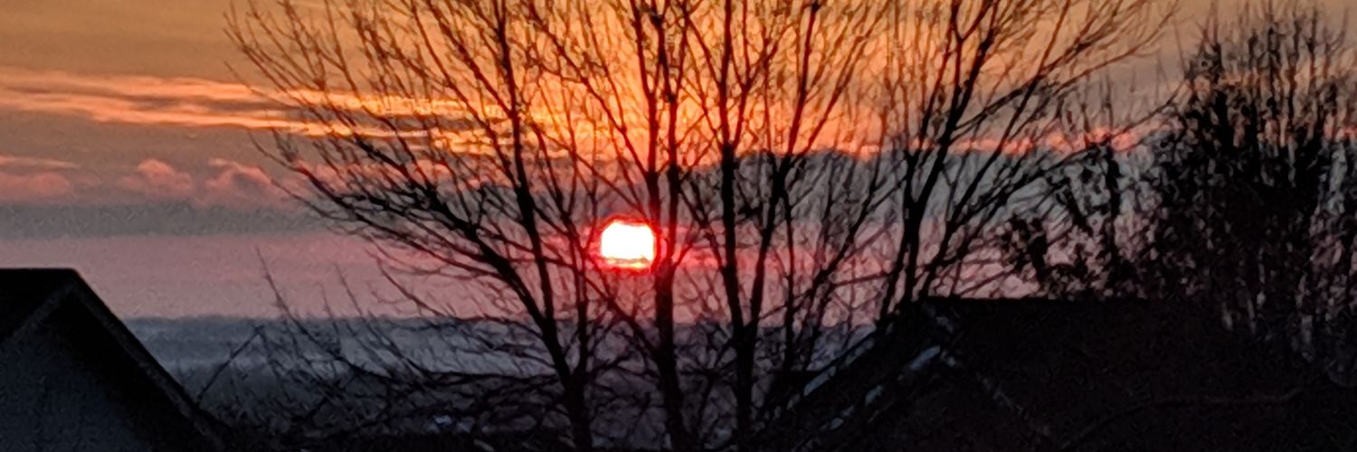 Shari7747's profile banner image