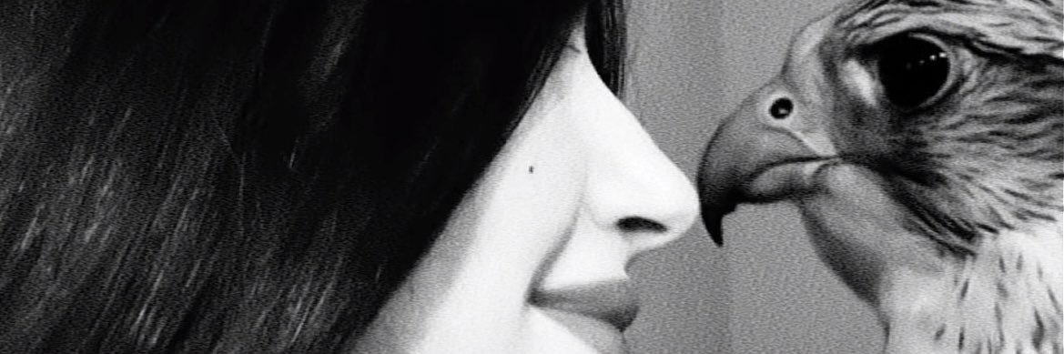 4444bd's profile banner image