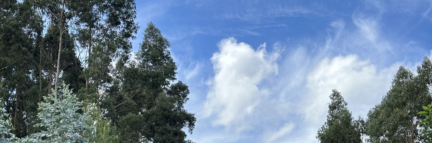 dvsk0's profile banner image