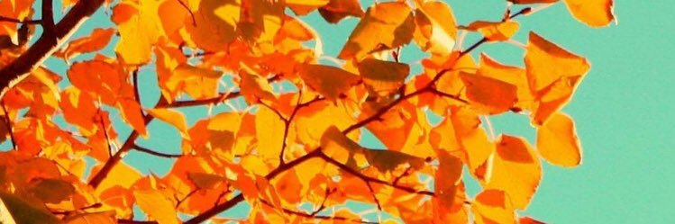 Just_Johns's profile banner image