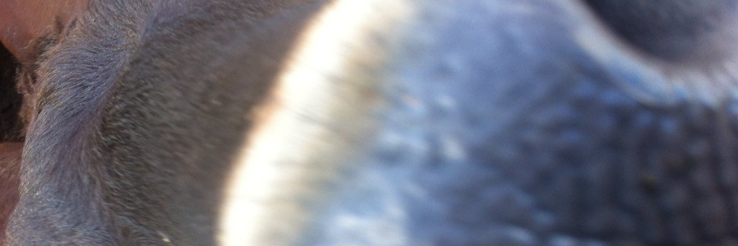 herbshus's profile banner image