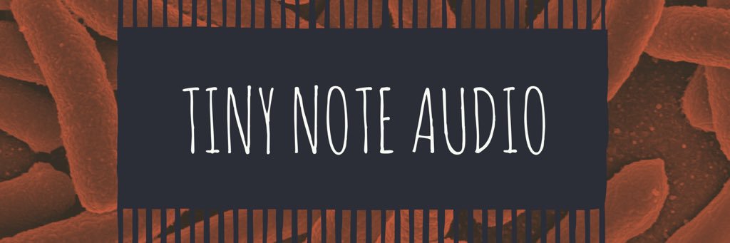 tinynoteaudio's profile banner image