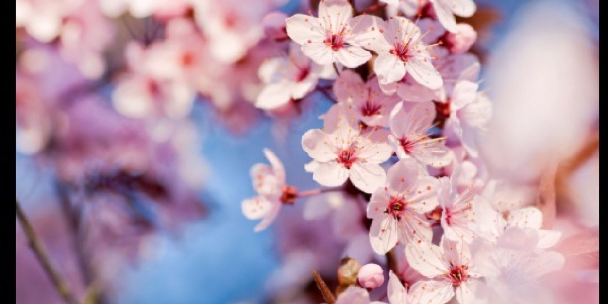 Karen Riquelme banner