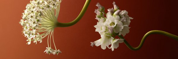 kinfolkmag Profile Banner