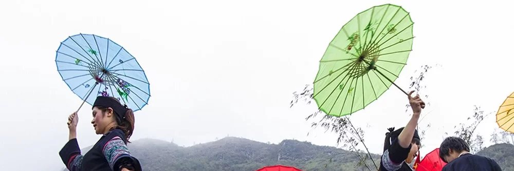 paulopvar1's profile banner image