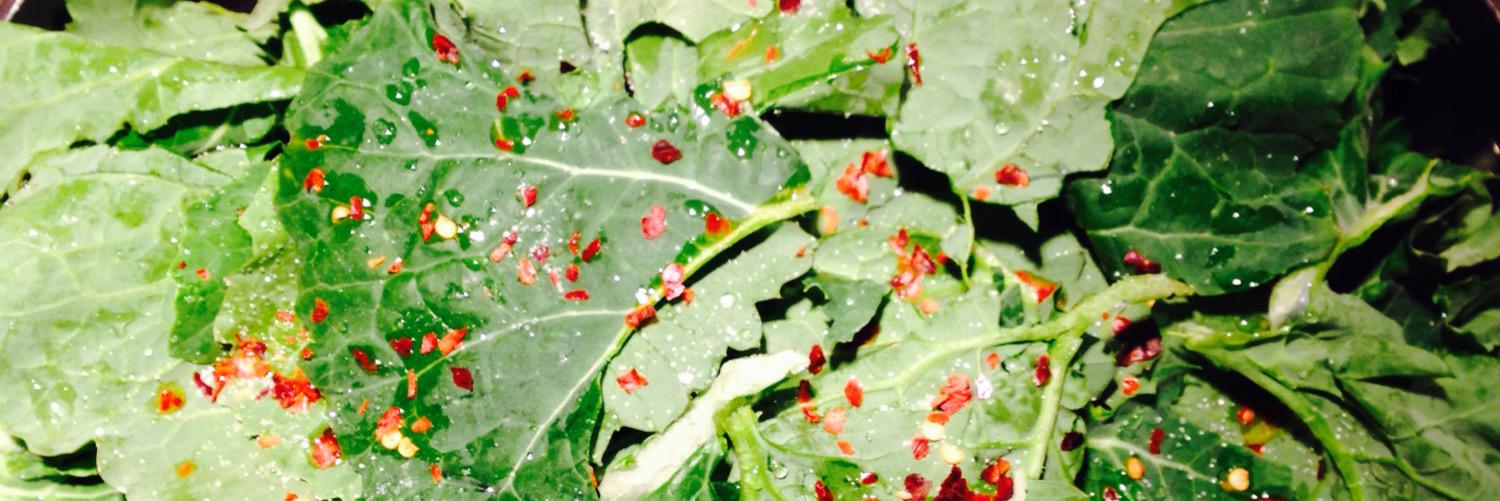 barefootfarmnc's profile banner image
