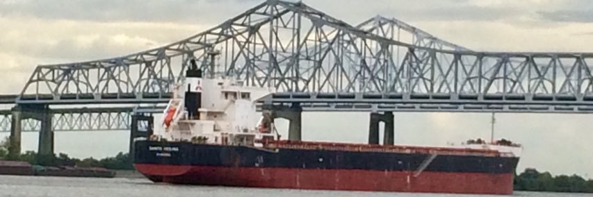 Michael P. Redlich #IStandWithUkraine 🇺🇦 banner