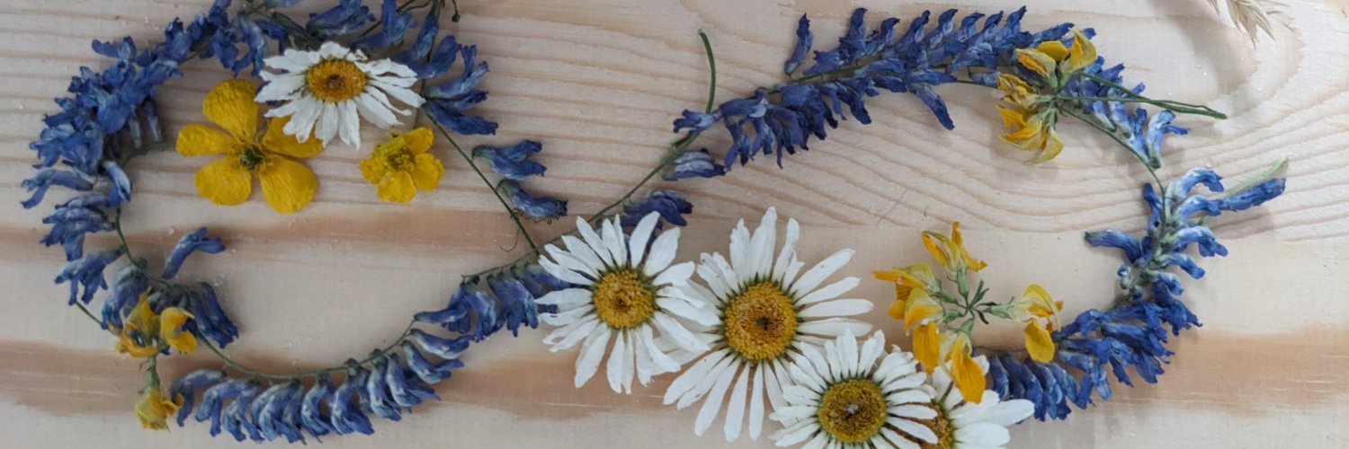 MsHollick's profile banner image