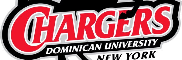 Coach Sheiner banner