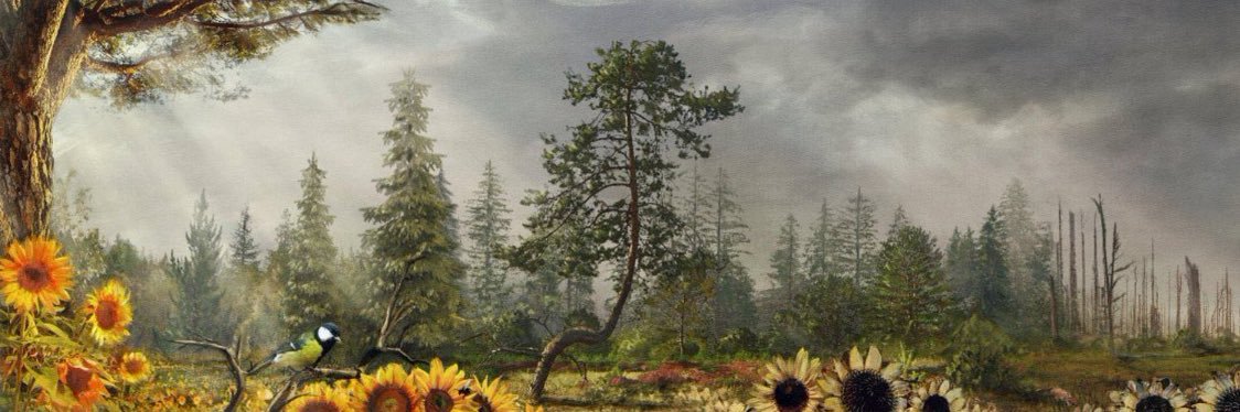 nhrhds's profile banner image
