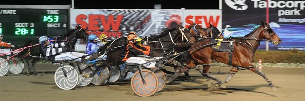 Luckylodgestabl Profile Banner