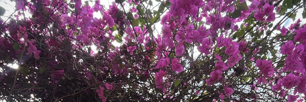 Julioo_Moya's profile banner image