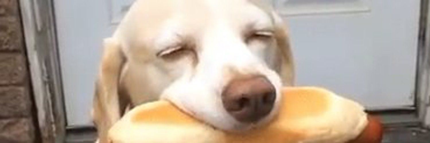 _erick_generic's profile banner image