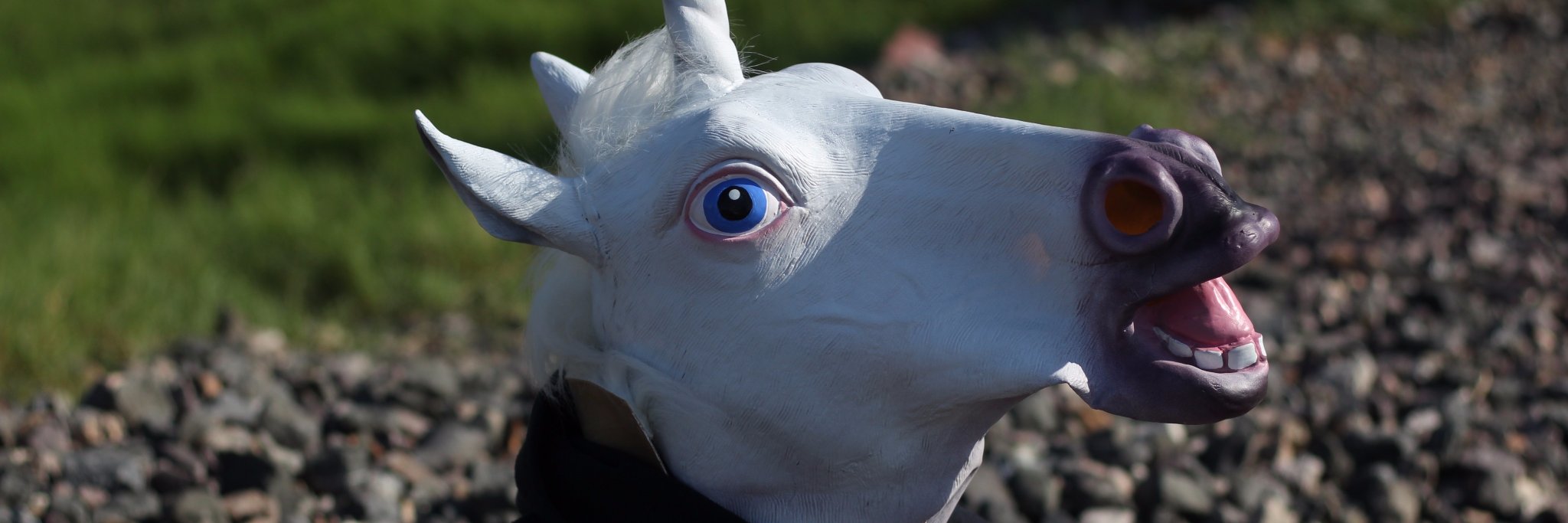 Dinoswarleafs's profile banner image