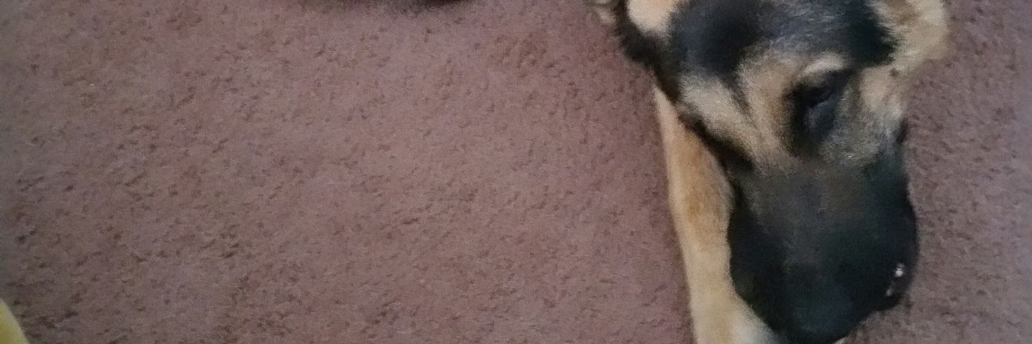 mlangwel's profile banner image