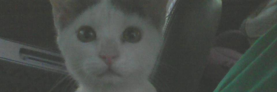 SamShai3's profile banner image
