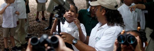 fledgingbirders's profile banner image