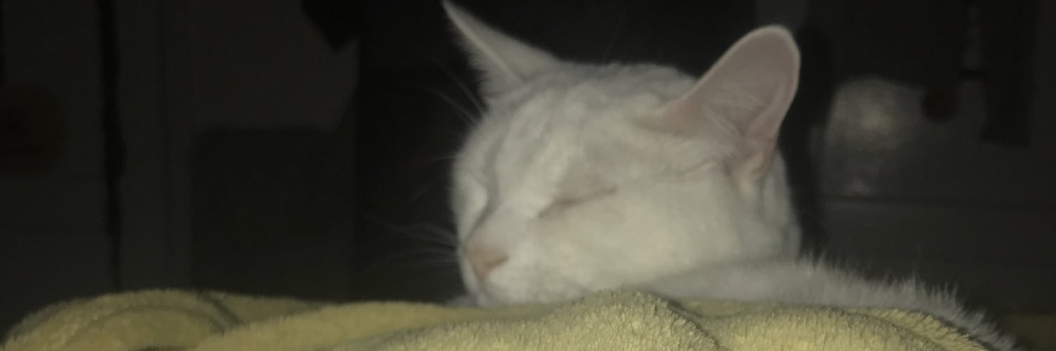 caityaye's profile banner image