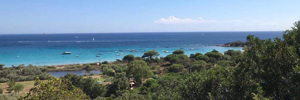 Pierre Lassus banner