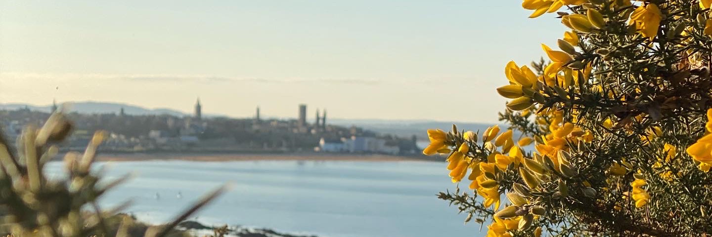 NXylander's profile banner image