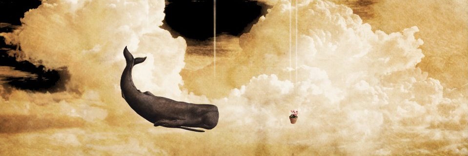 Andrea banner
