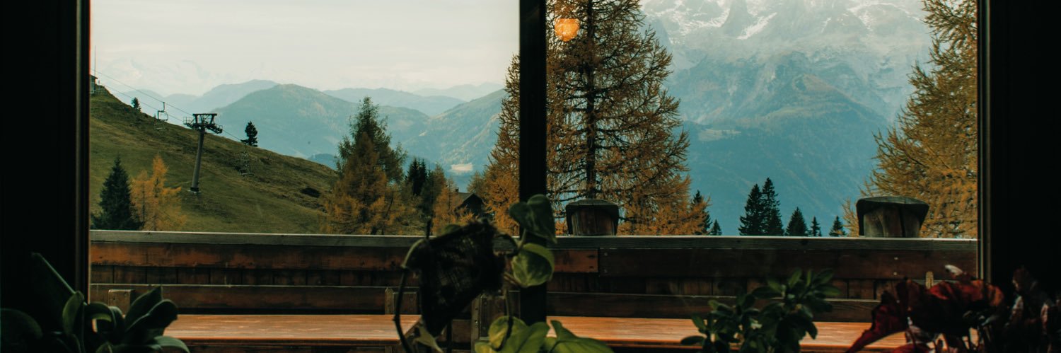 meadow 🌿 banner